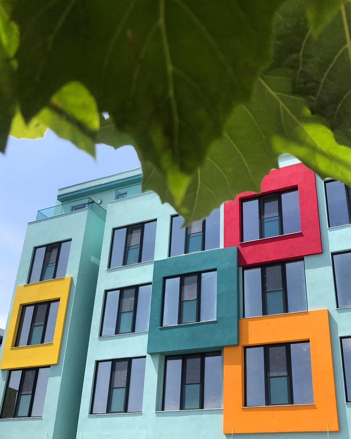 Zip Mamaia